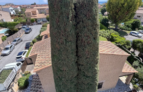  Jardinier Spécialiste de la taille de haie et d'arbre - Débroussaillage autour de Grasse