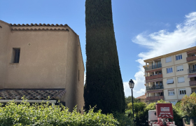  Jardinier Spécialiste de la taille de haie et d'arbre - Débroussaillage autour de Grasse