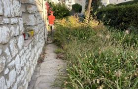 Jardinier Spécialiste de la taille de haie et d'arbre - Débroussaillage autour de Grasse