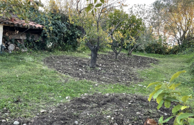 Jardinier Spécialiste de la taille de haie et d'arbre - Débroussaillage autour de Grasse
